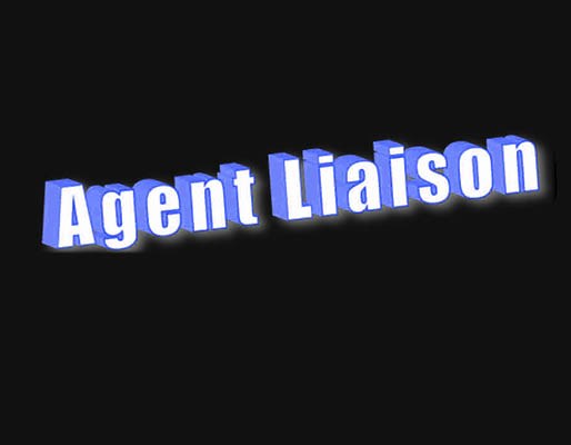 Representatives / Liaison agents / Points of Contact